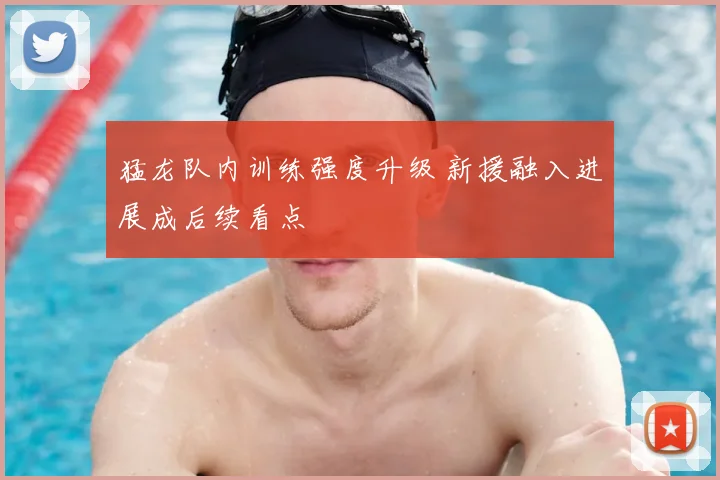 猛龙队内训练强度升级 新援融入进展成后续看点
