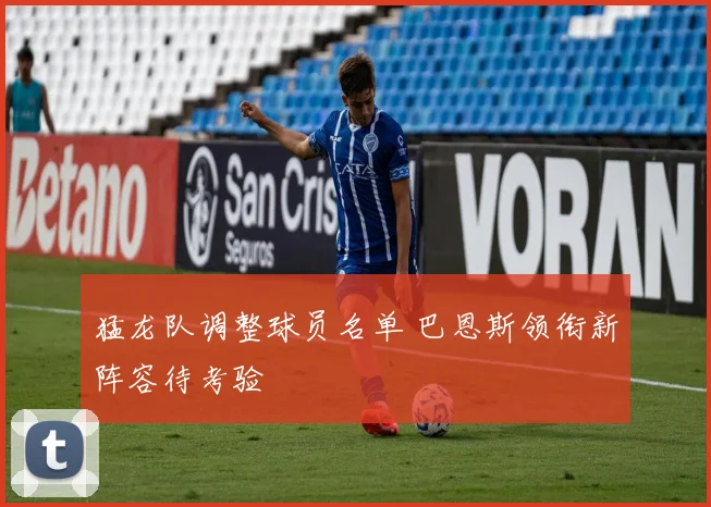 猛龙队调整球员名单 巴恩斯领衔新阵容待考验