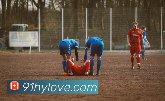 在线买世界杯平台平台生态图